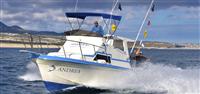 28ft Uniflite "ANDREA"